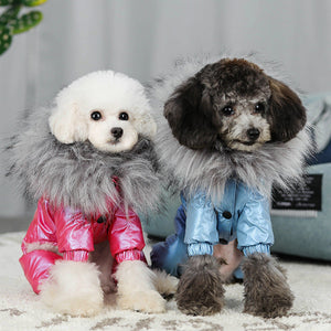 Keep Your Pet Cozy This Winter with Our Stylish Down Padded Coat!