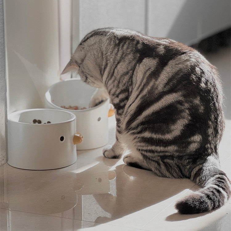 Elevate Your Pet's Hydration with Our Ceramic Pet Water Bowl