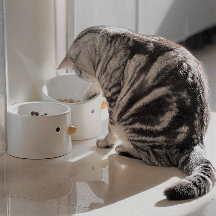 Elevate Your Pet's Hydration with Our Ceramic Pet Water Bowl