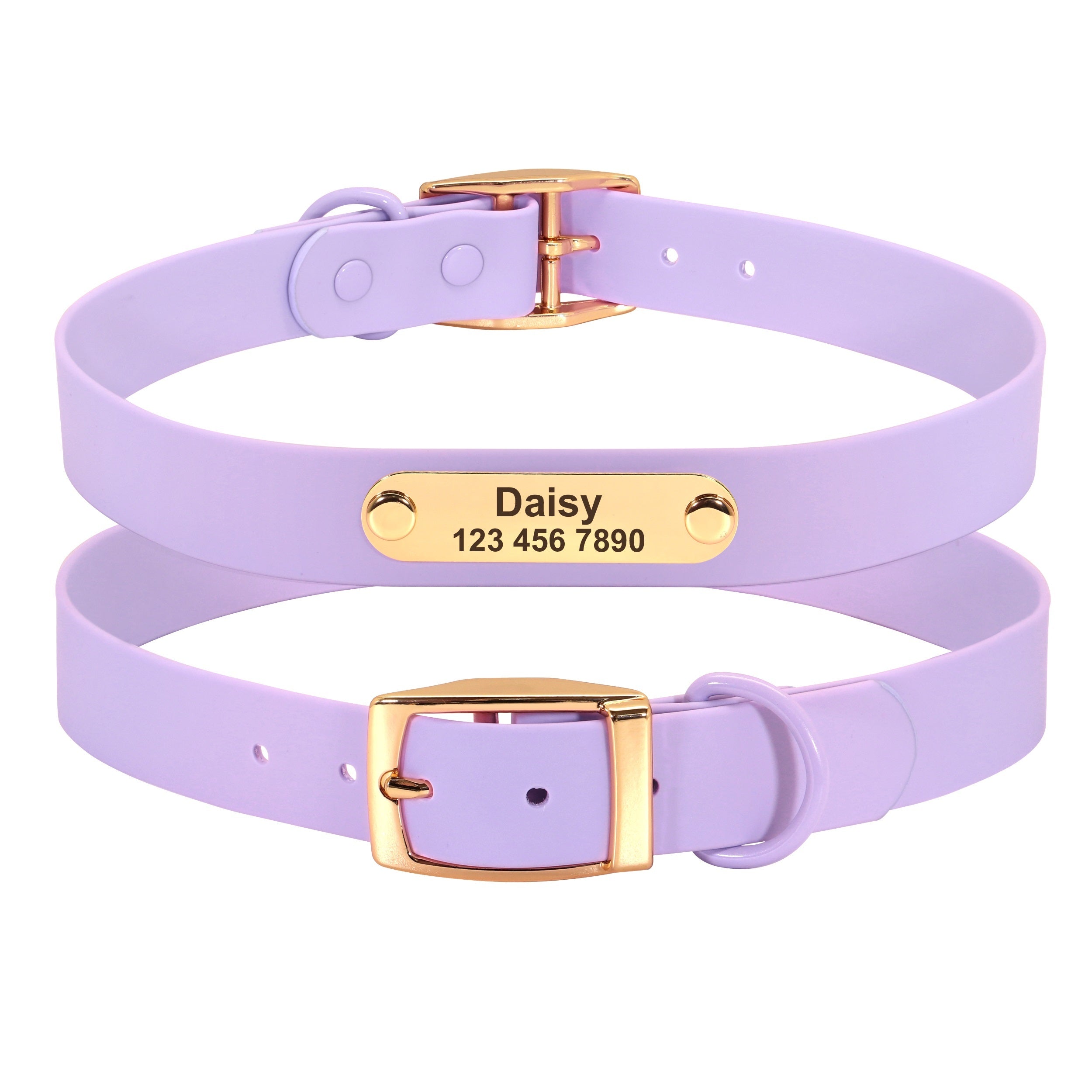 Unleash Style and Comfort with the Collar Leash Medium Dog Teddy
