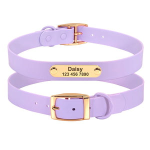 Unleash Style and Comfort with the Collar Leash Medium Dog Teddy