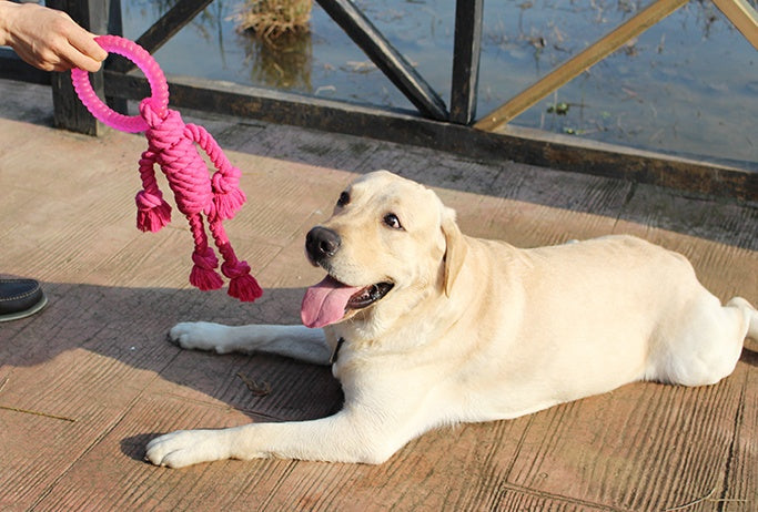 Unleash the Fun with the Big Dog Interactive Knot Toy!