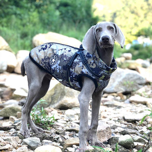 Keep Your Pooch Cozy with the Big Dog Shell Jacket