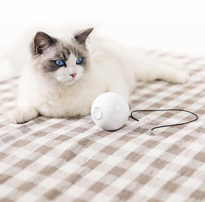 Engage Your Feline Friend with the Automatic Interactive Cat Toy Ball!