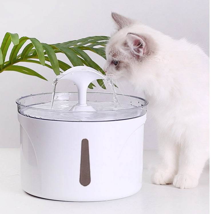 Why Your Pet Deserves the Best: Discover the Pet Water Dispenser
