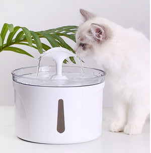 Why Your Pet Deserves the Best: Discover the Pet Water Dispenser