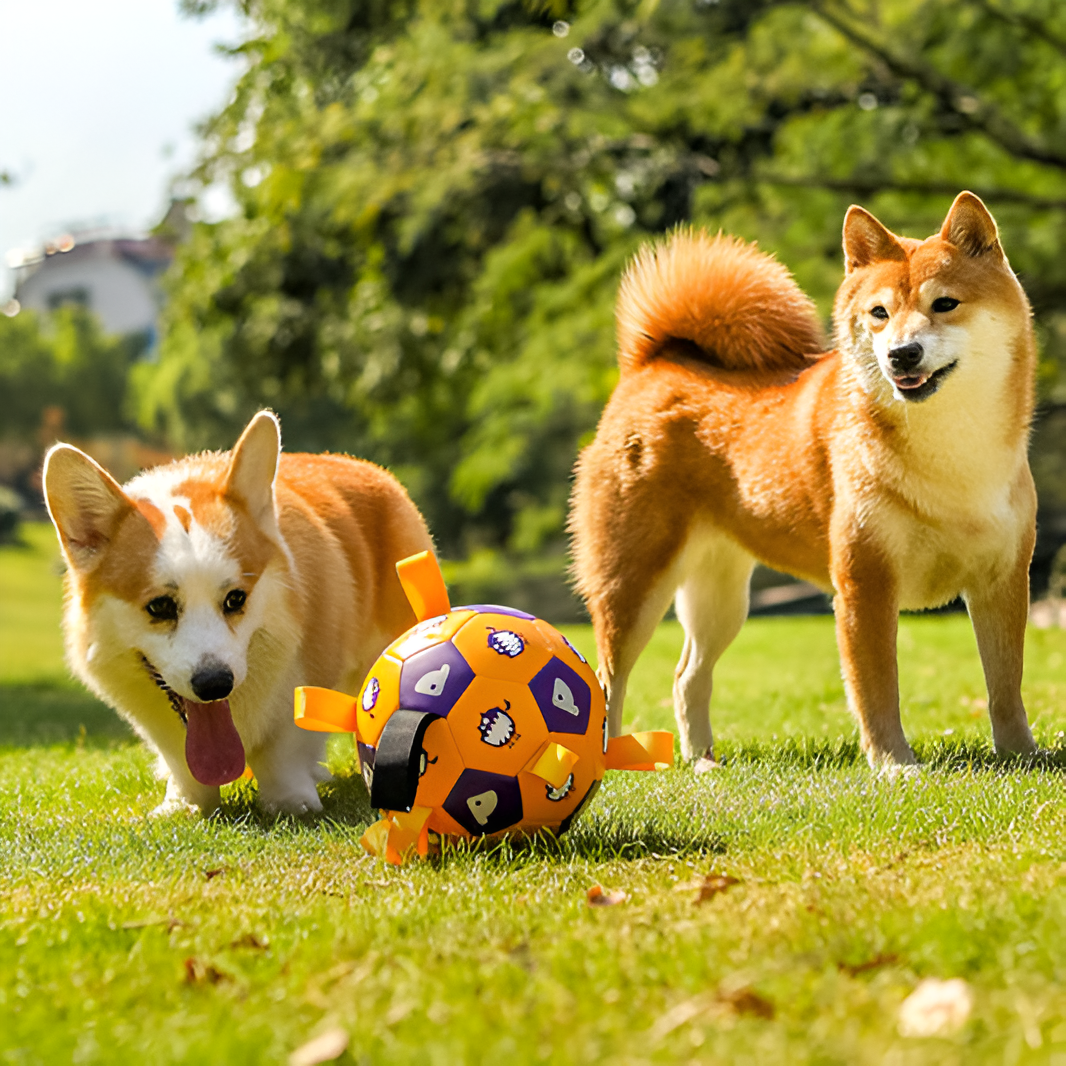 Choosing the Right Toy for Your Pet