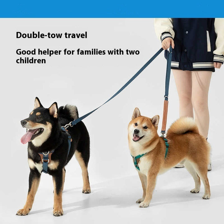 Unleash Adventure with Our Premium Dog Rope Leash