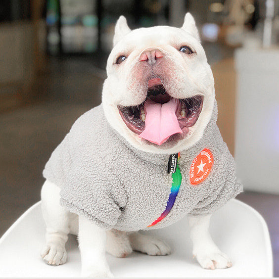 Heyelf new pet clothes