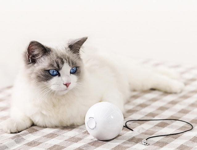Automatic Interactive Cat Toy Ball