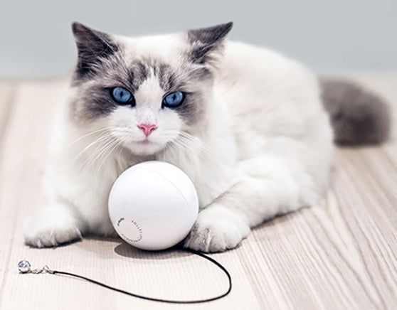 Automatic Interactive Cat Toy Ball
