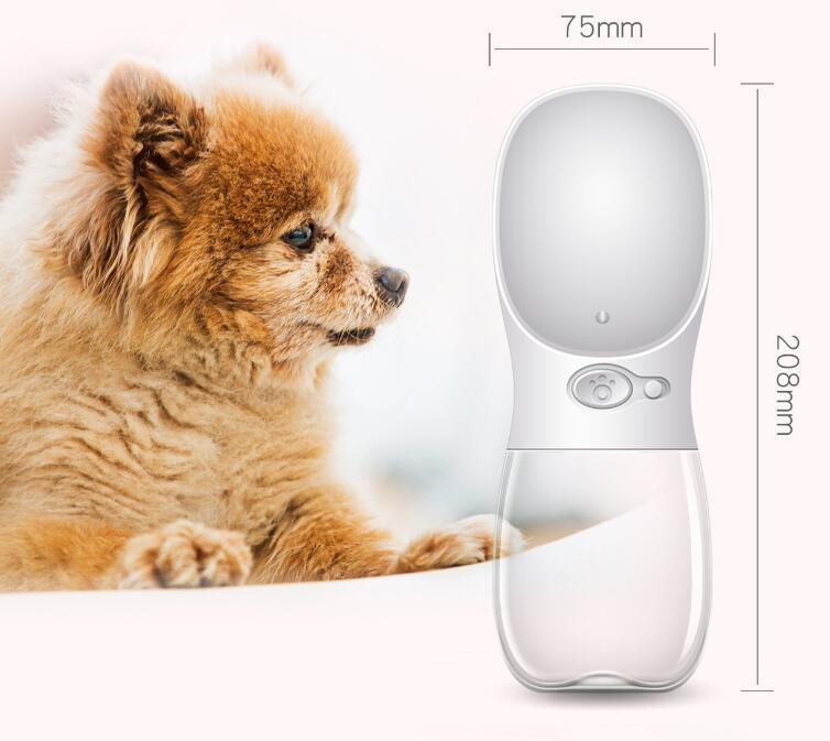 Pet Water Bottle
