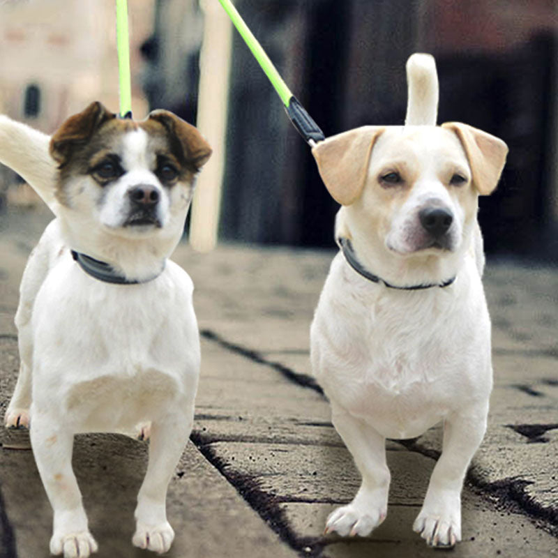 Dog Leash Reflective