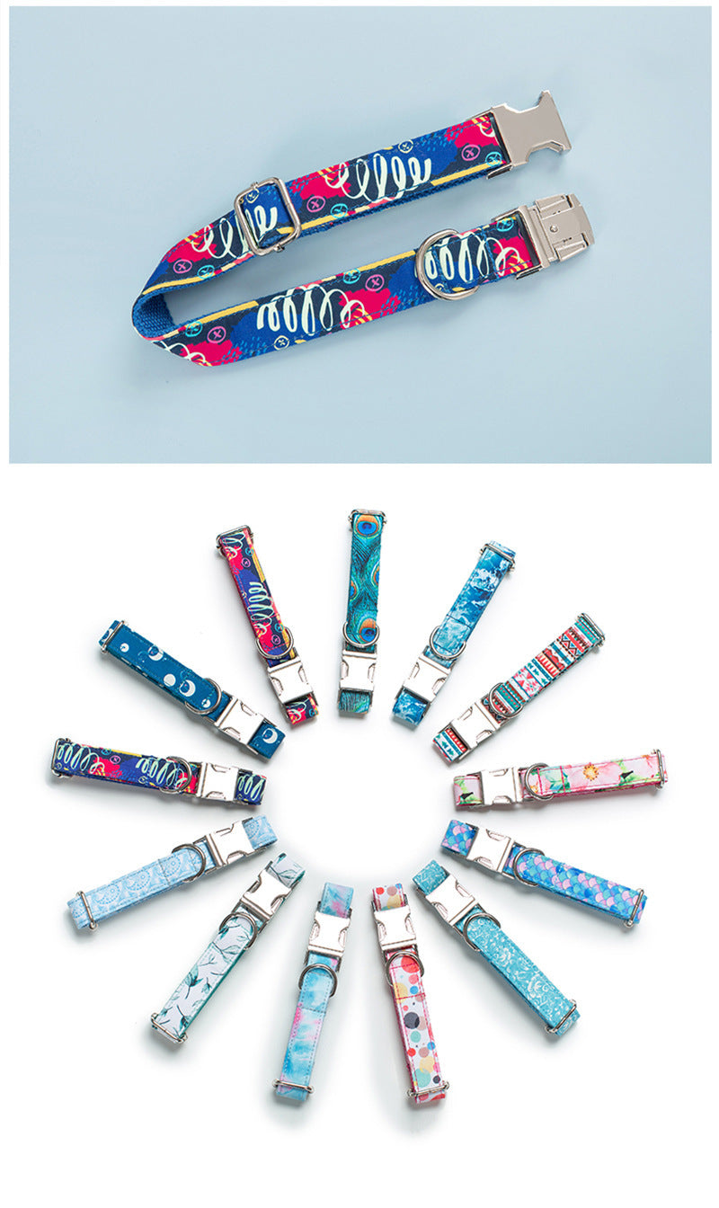 Dog Collar Pet Leash Dog