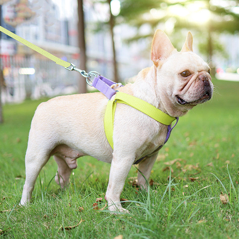 Color Pet Drawstring Leash
