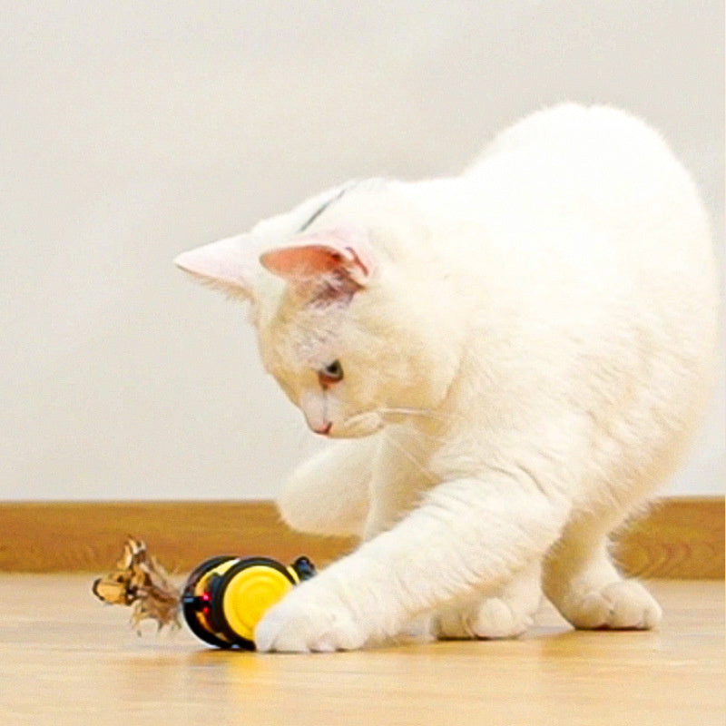 Electric Cat Car Toy Cute Bee