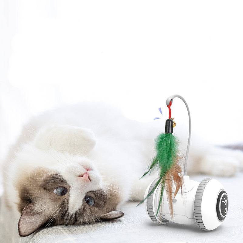 Interactive Cat Toy With Feather Toys