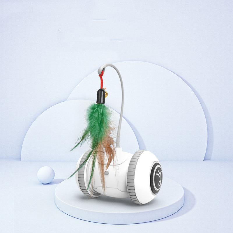 Interactive Cat Toy With Feather Toys
