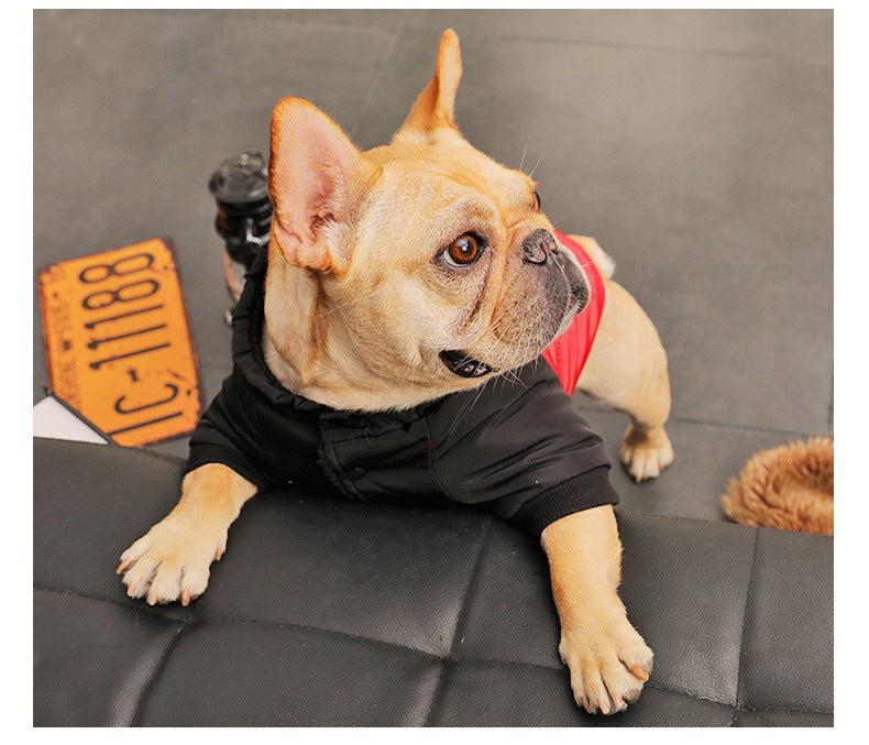 Casual Winter Dog Padded Coat