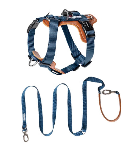 Dog Rope Leash
