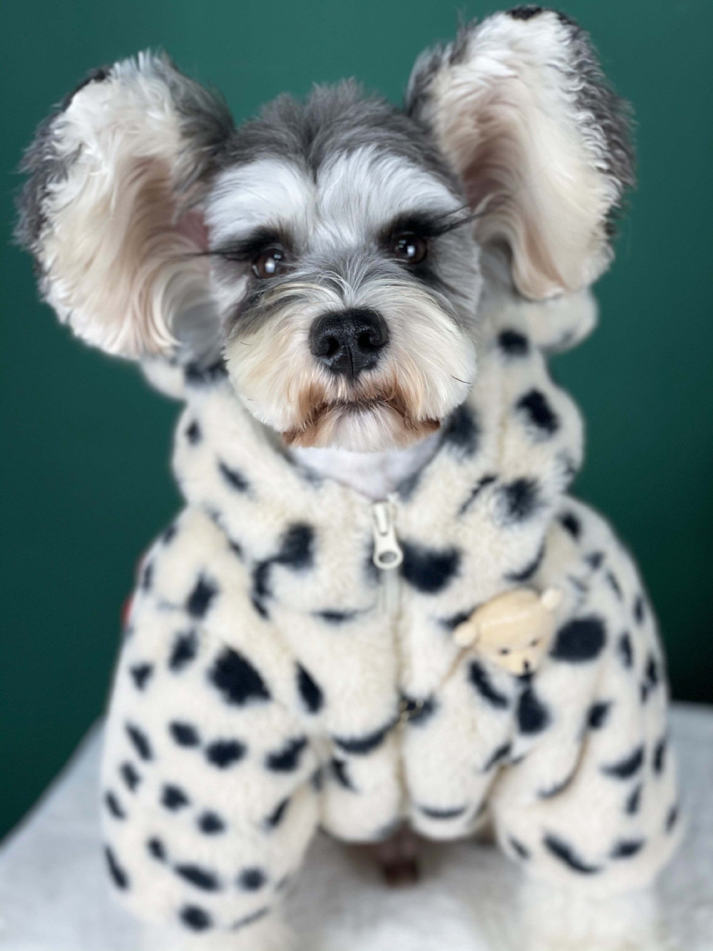 Dog Clothes Thickened Plush Coat