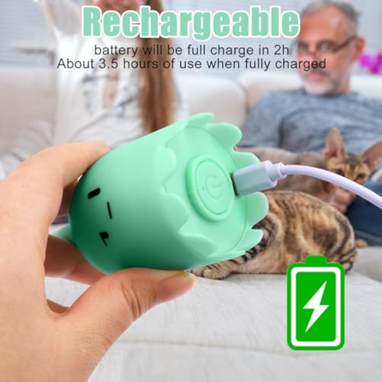 Interactive Cat Toys For Indoor Cats