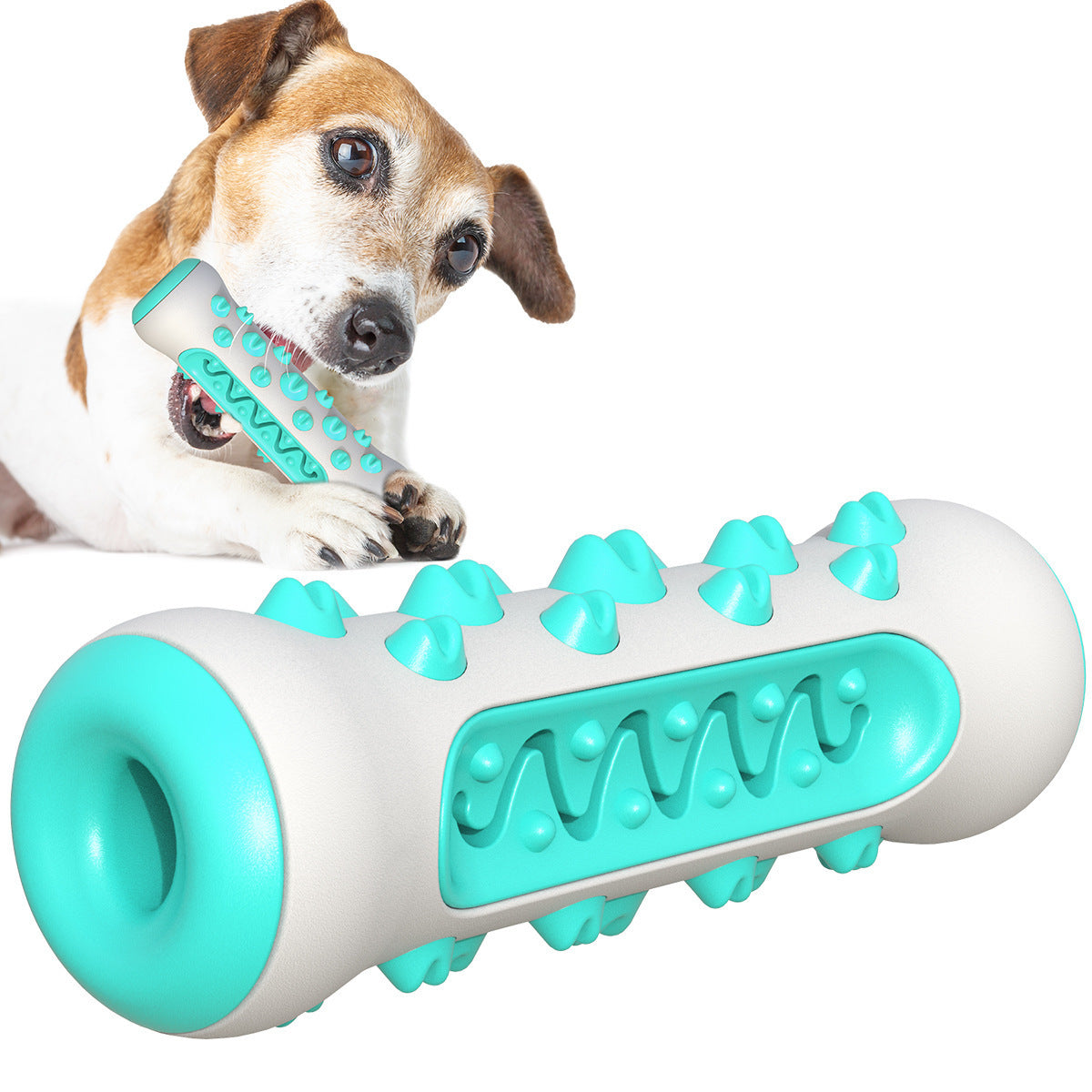Dog Toothbrush Chew Toy