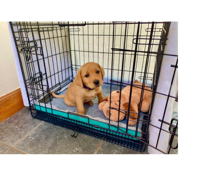 Accompanying Sleep Toy Dog