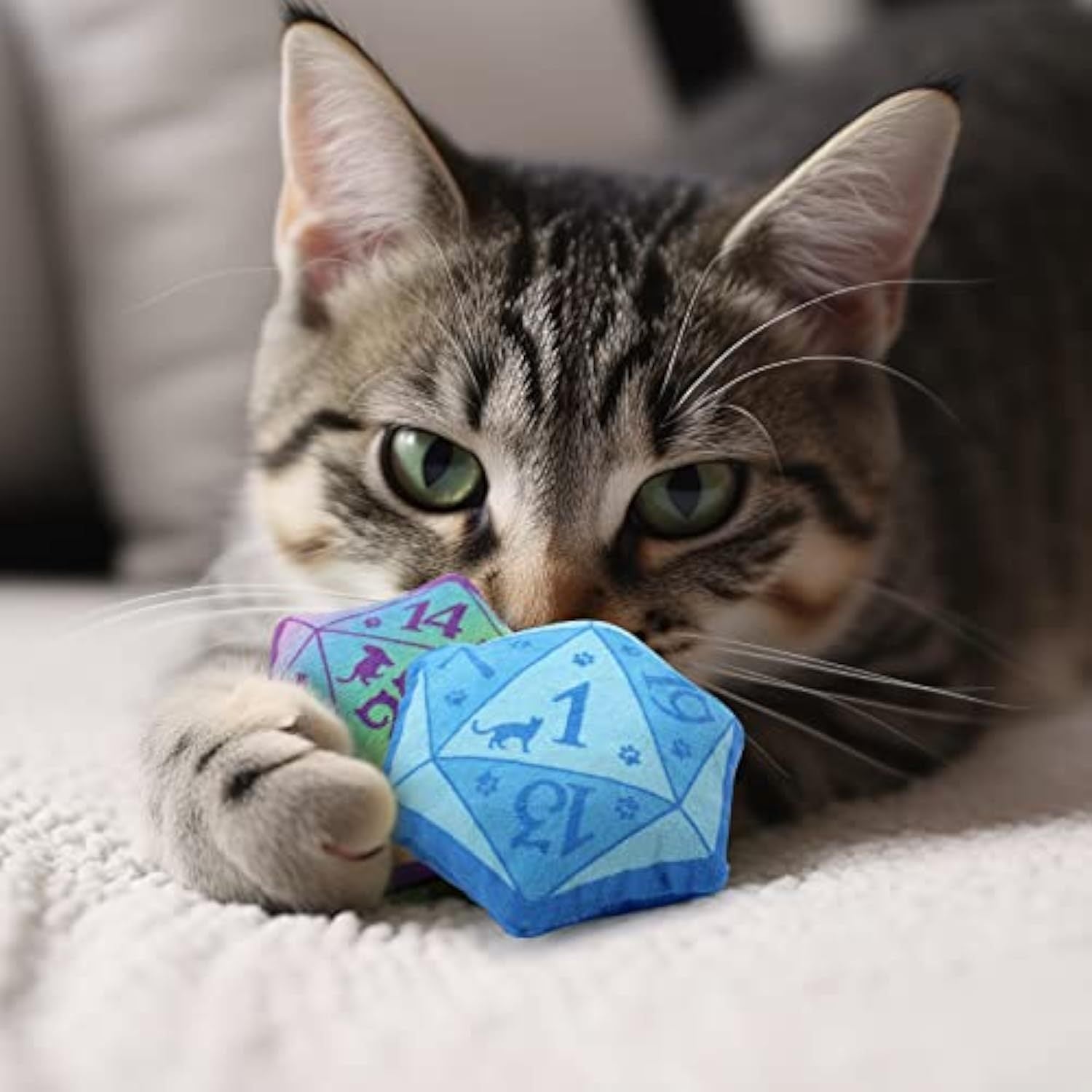 Dice DND Interactive Cat Toy