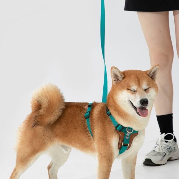 Dog Rope Leash