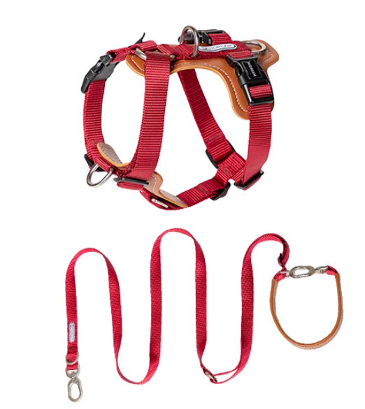 Dog Rope Leash