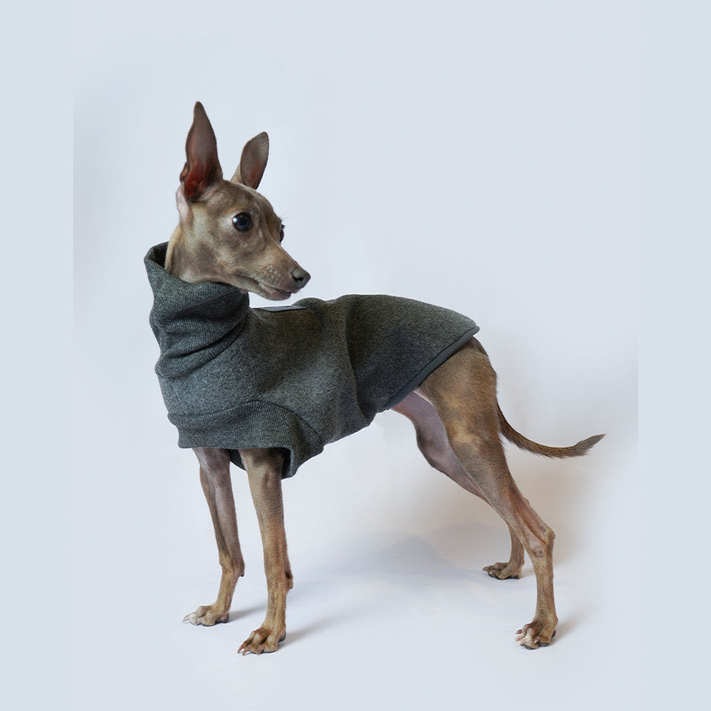Dog Coat Thickened And Windproof