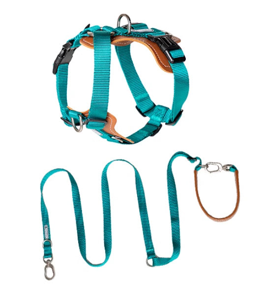 Dog Rope Leash