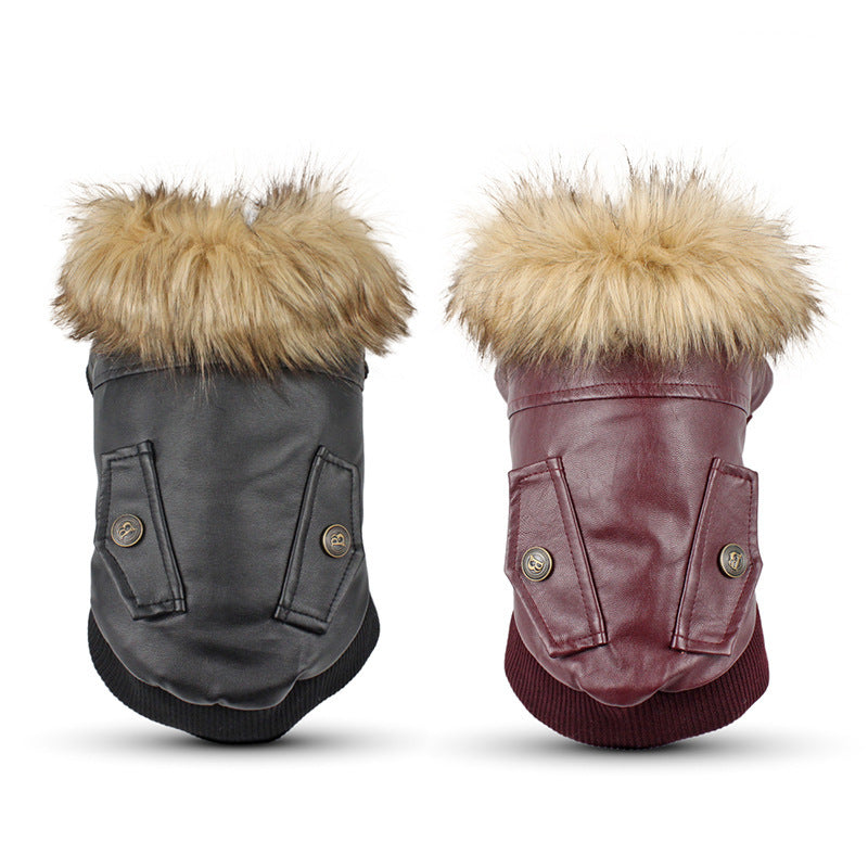 Clothes Dog Fur Collar