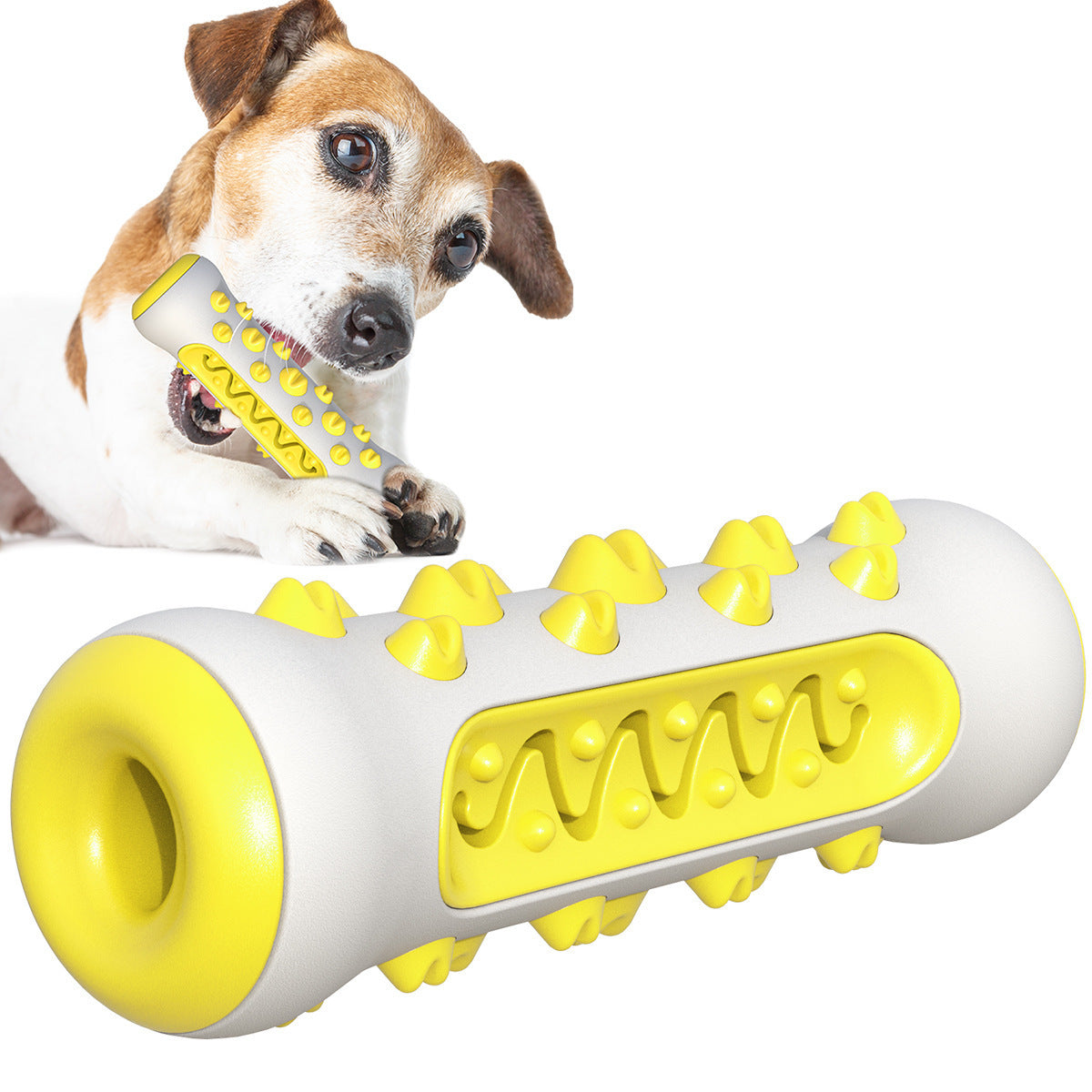 Dog Toothbrush Chew Toy