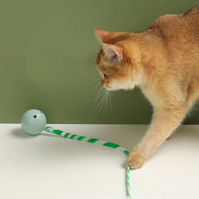 Interactive Electric Balls Pet Toy