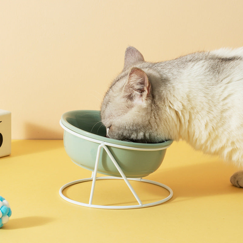 Pet Ceramic Bowl Food Basin