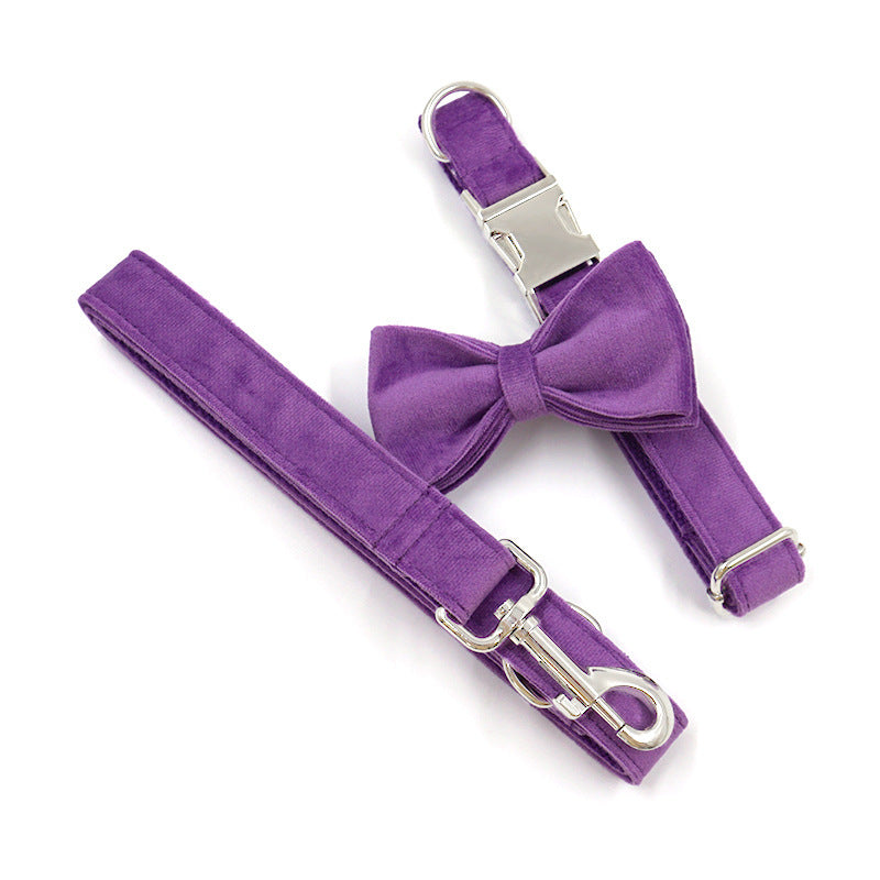 Collar Leash Set Dog
