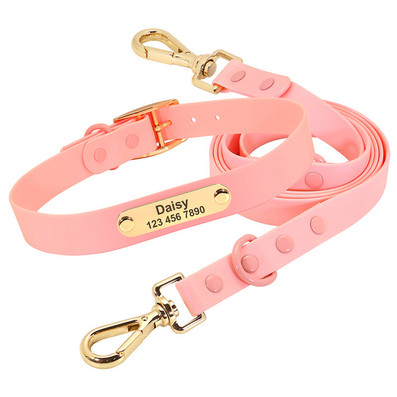 Collar Leash Medium Dog Teddy