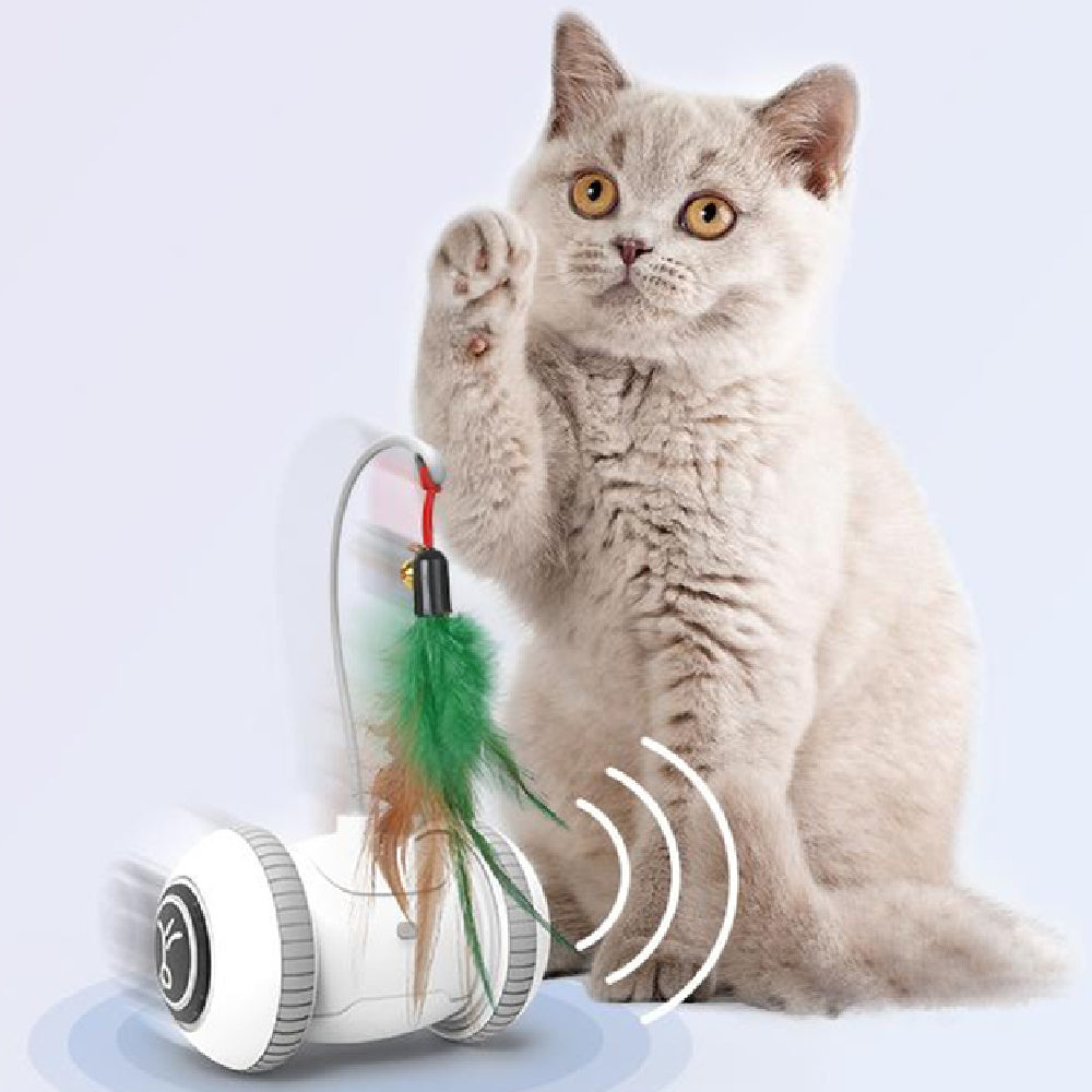Interactive Cat Toy With Feather Toys